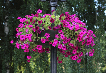 Similar image 2939698