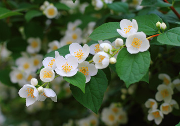 Similar image 2939701