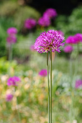 Similar image 2939702