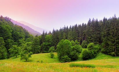 Similar image 2939720