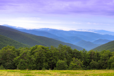 Similar image 2939721