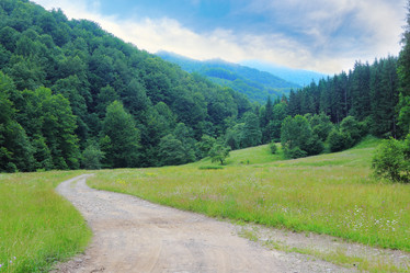 Similar image 2939723