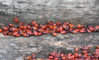 Similar image 2939757