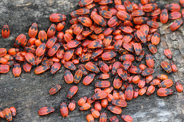 Similar image 2939758