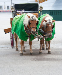 Similar image 2939917