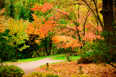 Similar image 2939998