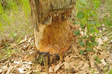 Similar image 2940066