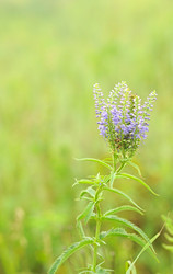 Similar image 2940067