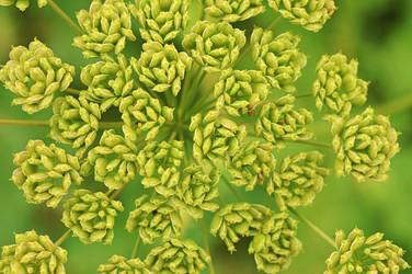 Similar image 2940071