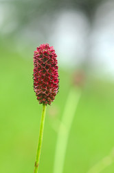 Similar image 2940073