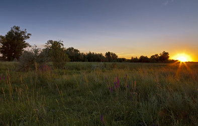 Similar image 2940086