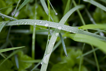 Similar image 2940096