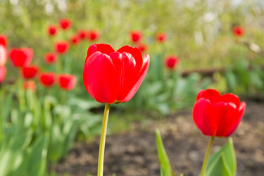 Similar image 2940101