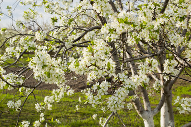 Similar image 2940102