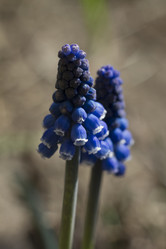 Similar image 2940123