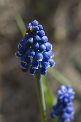 Similar image 2940124