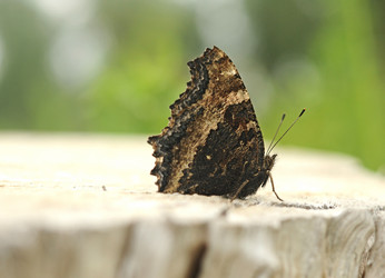 Similar image 2940125