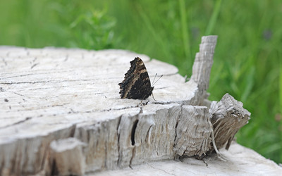 Similar image 2940145