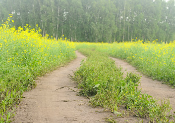 Similar image 2940149