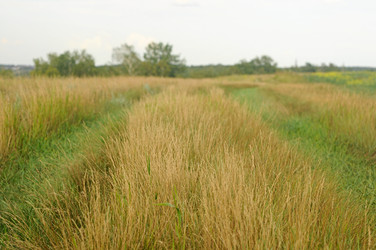 Similar image 2940151