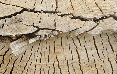 Similar image 2940156