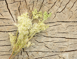 Similar image 2940157