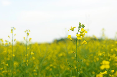 Similar image 2940163