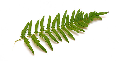 Similar image 2940171