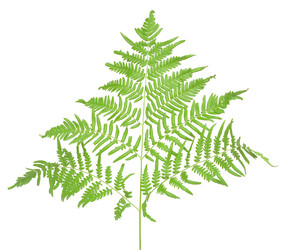 Similar image 2940172