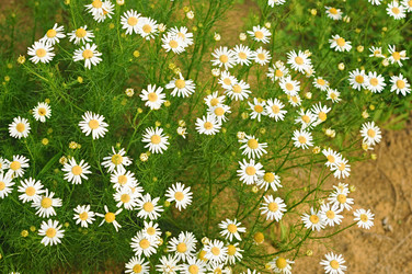 Similar image 2940175