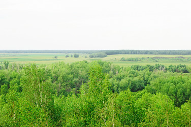 Similar image 2940180