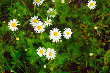 Similar image 2940182