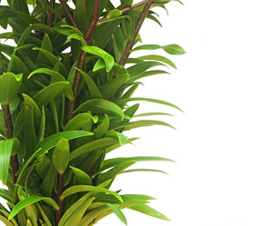 Similar image 2940187