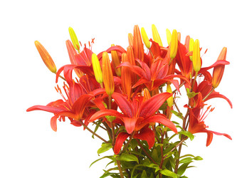 Similar image 2940189