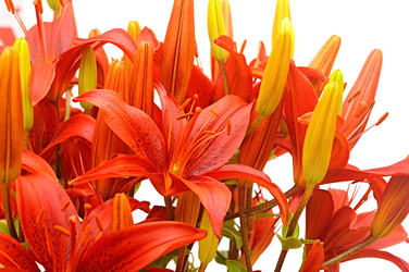 Similar image 2940195