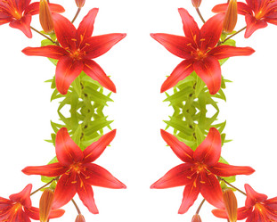 Similar image 2940214