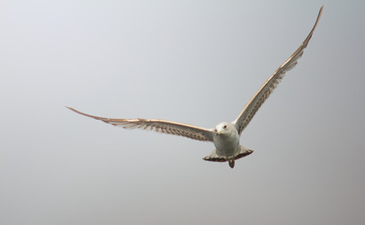 Similar image 2940238