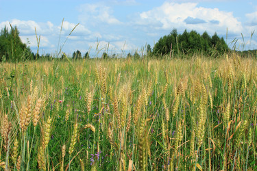 Similar image 2940254