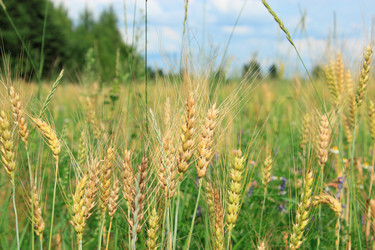 Similar image 2940255