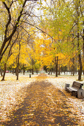 Similar image 2940306