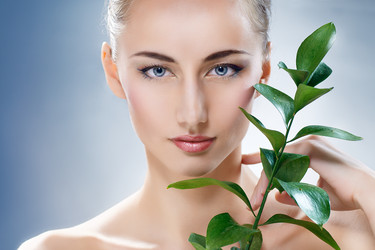 Similar image 2940354