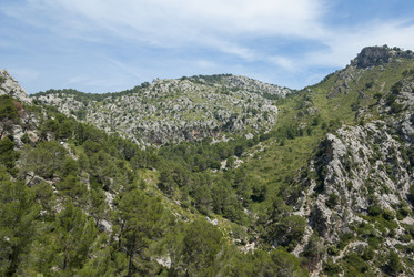 Similar image 2940646