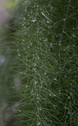 Similar image 2940659