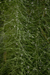 Similar image 2940660