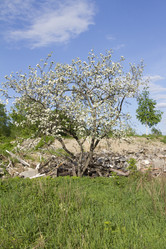 Similar image 2940679