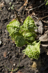 Similar image 2940681