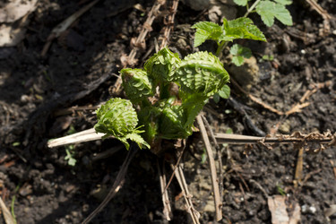 Similar image 2940682