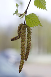 Similar image 2940683