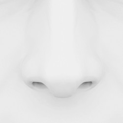 Similar image 2940797