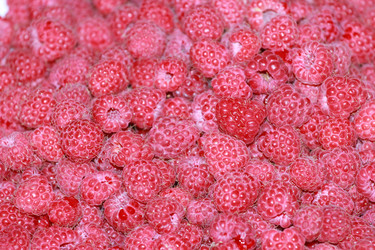 Similar image 2940986